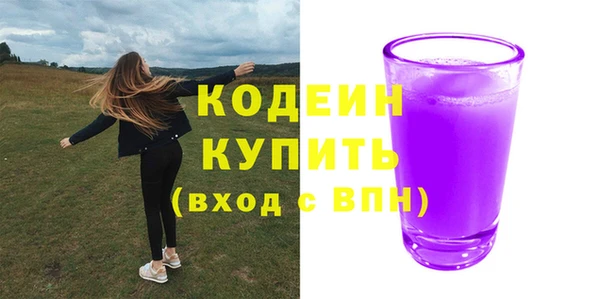 шишки Алапаевск
