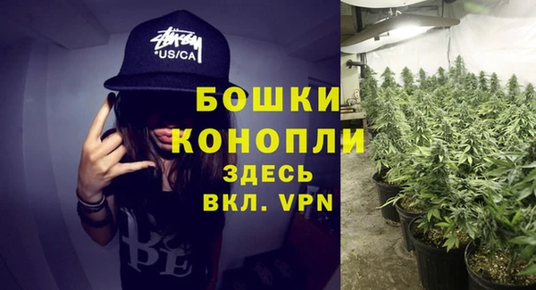 ГАЛЛЮЦИНОГЕННЫЕ ГРИБЫ Аксай