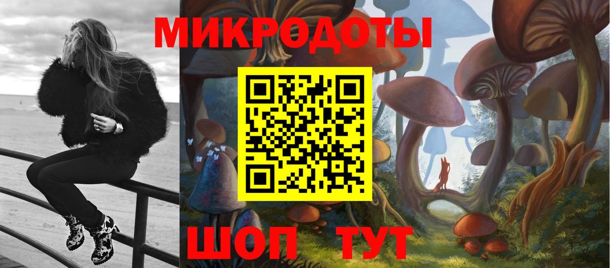 купить наркоту  Галлюциногенные грибы MAGIC MUSHROOMS  Вход с VPN  Ишим 